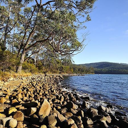Nrma Port Arthur Holiday Park Exterior foto