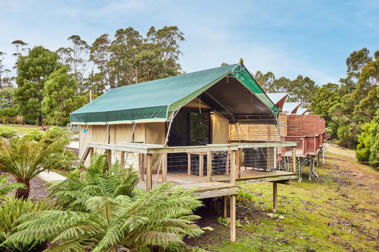 Nrma Port Arthur Holiday Park Exterior foto
